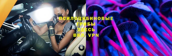 PSILOCYBIN Богородск