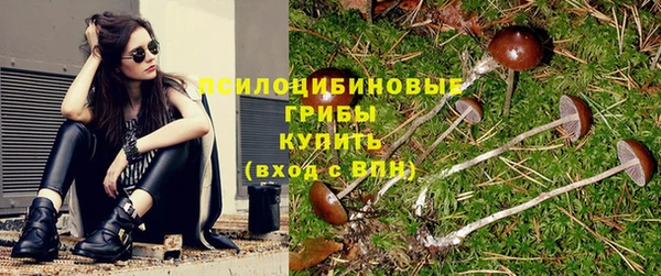 PSILOCYBIN Богородск
