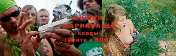 ALPHA PVP Богородицк