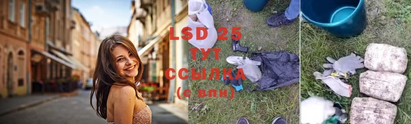 PSILOCYBIN Богородск